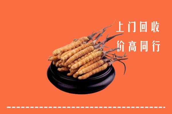 高价求购：鹤壁市淇县回收散虫草