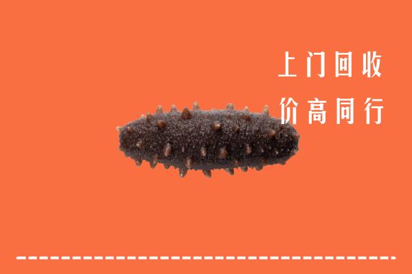 鹤壁市淇县回收海参