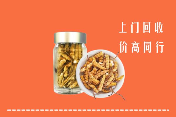 鹤壁市淇县回收冬虫夏草
